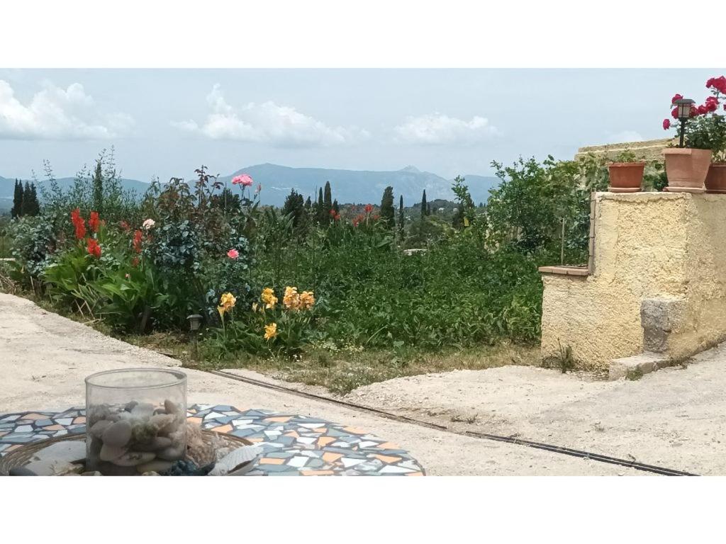 Patsou * Sinarádes